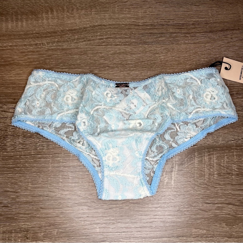 NWT Daydream Nation Wispers Panty